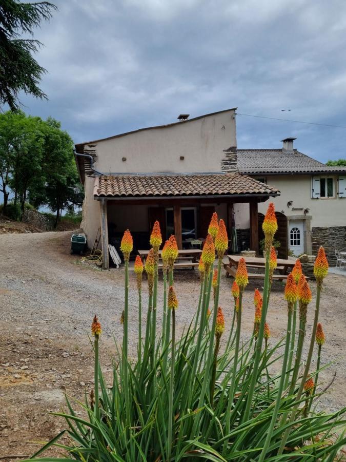 L'Oeil De Carcassonne Villa Caudebronde Екстериор снимка